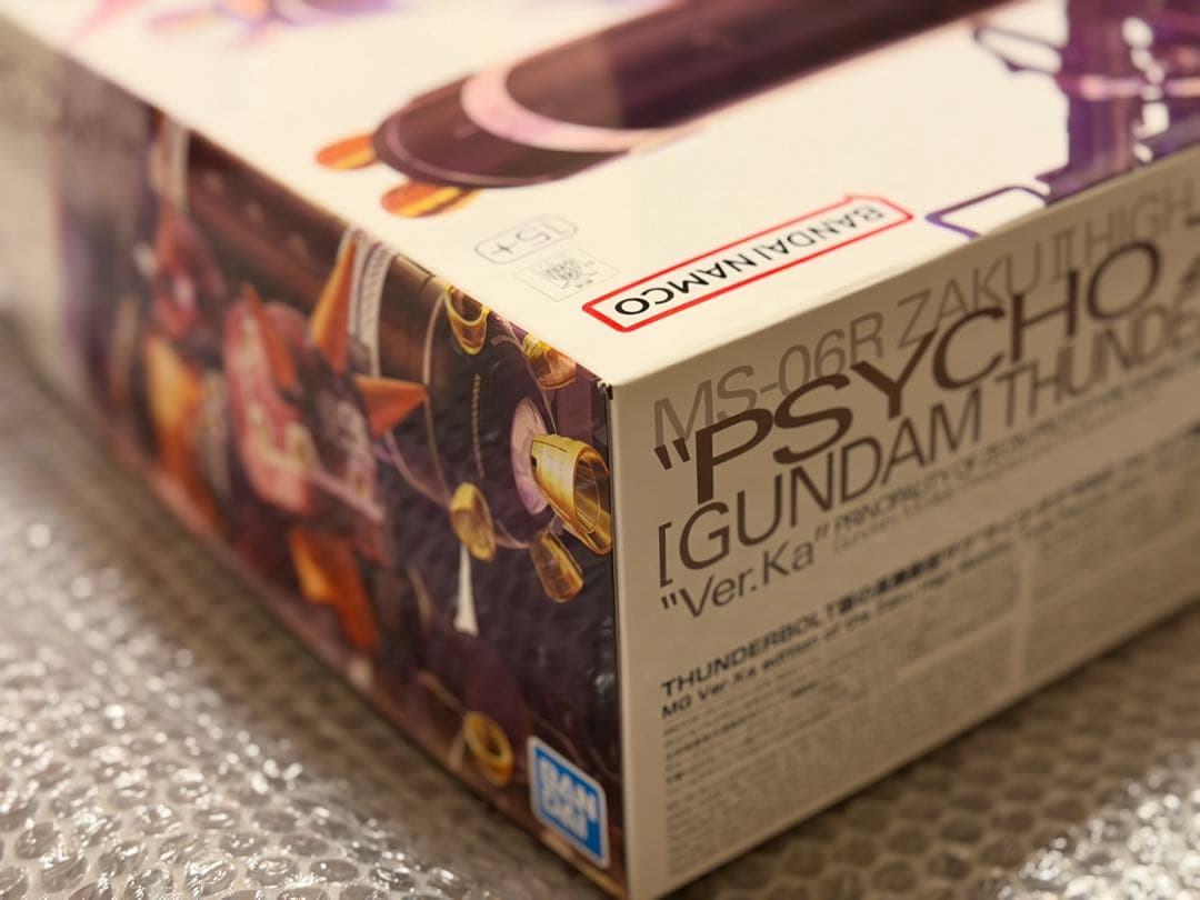 MG 1/100 高機動型ザク“サイコ・ザク” Ver.Ka サンダーボルト版