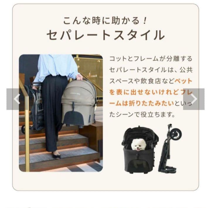 エアバギー wiz x