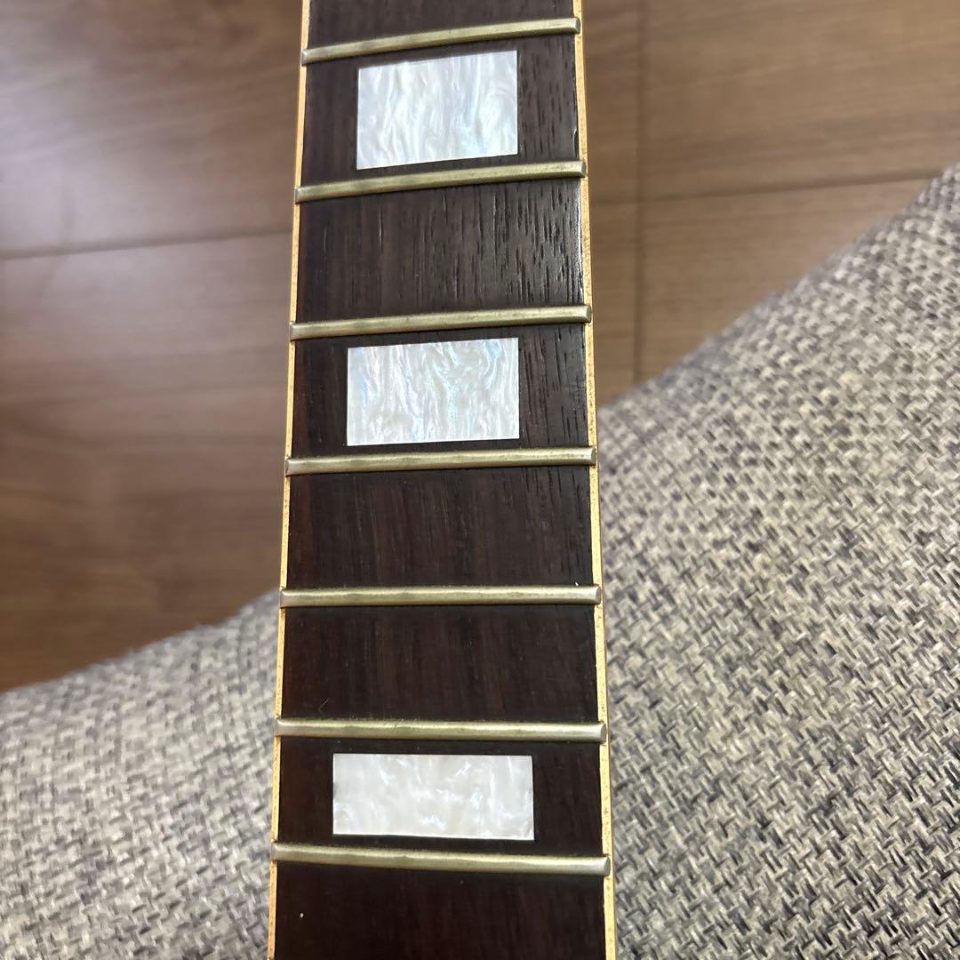 オーヴィルバイギブレスポールカスタムジャンク