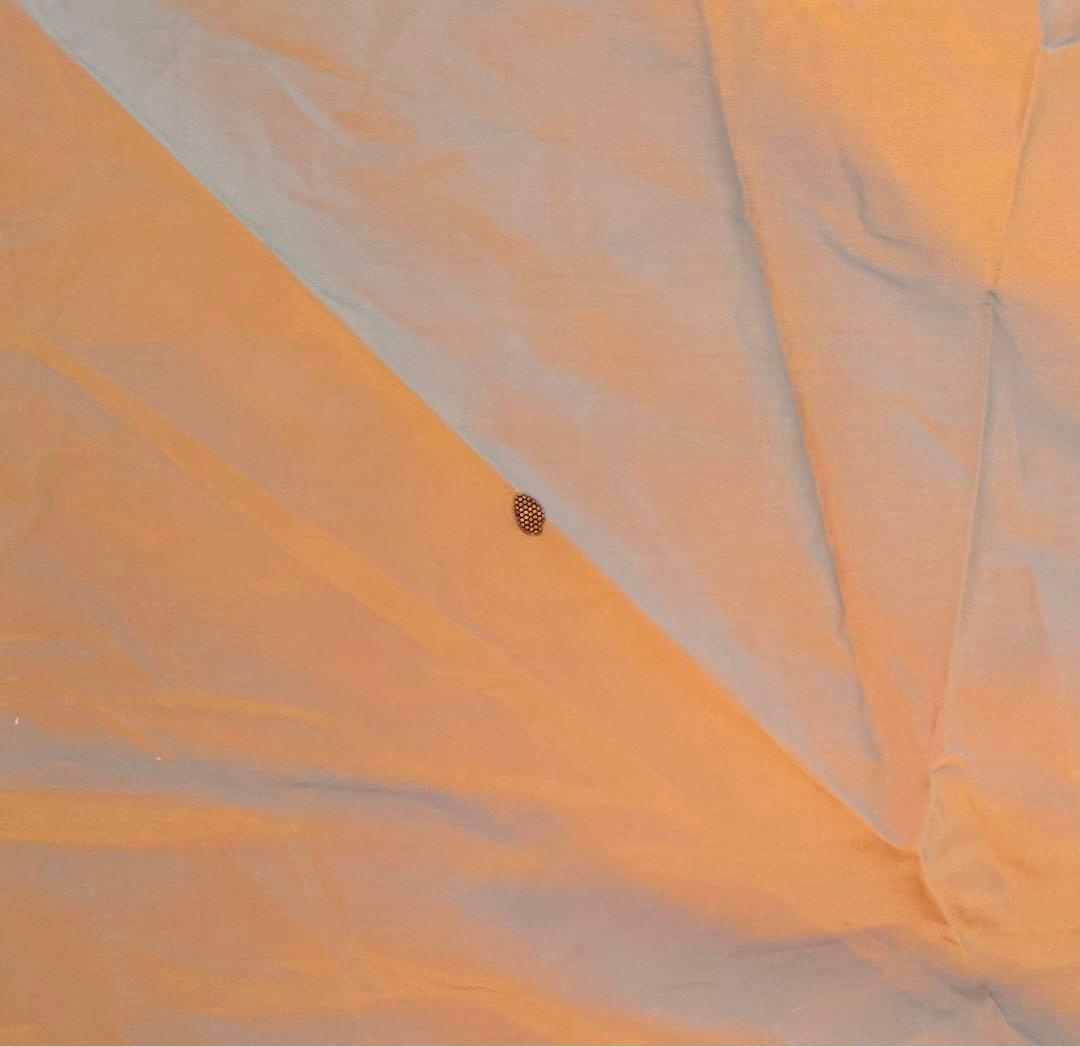  peak エントリー2ルームエルフィールド＋アップサイトポールセット