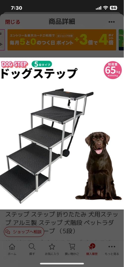 ドッグステップ