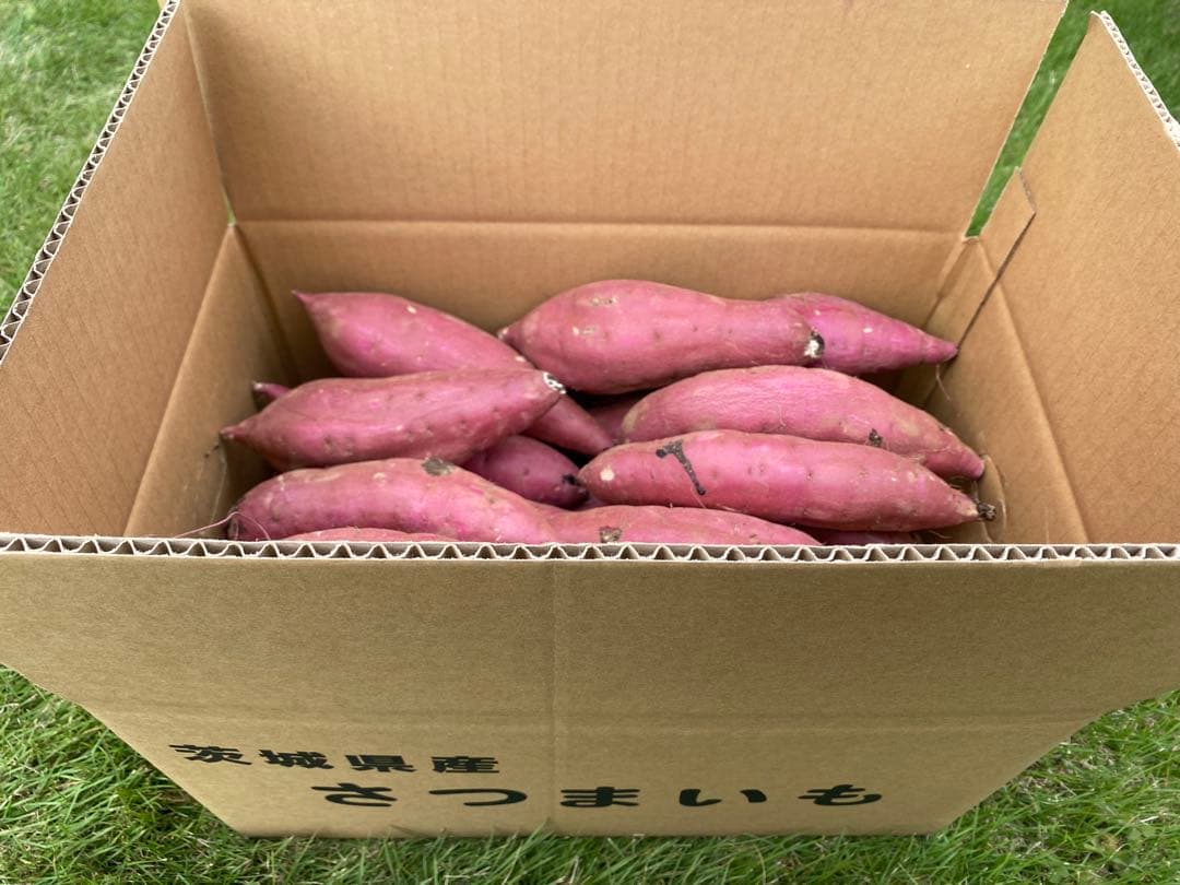 茨城県産紅はるかS100キロ　Rika☆品