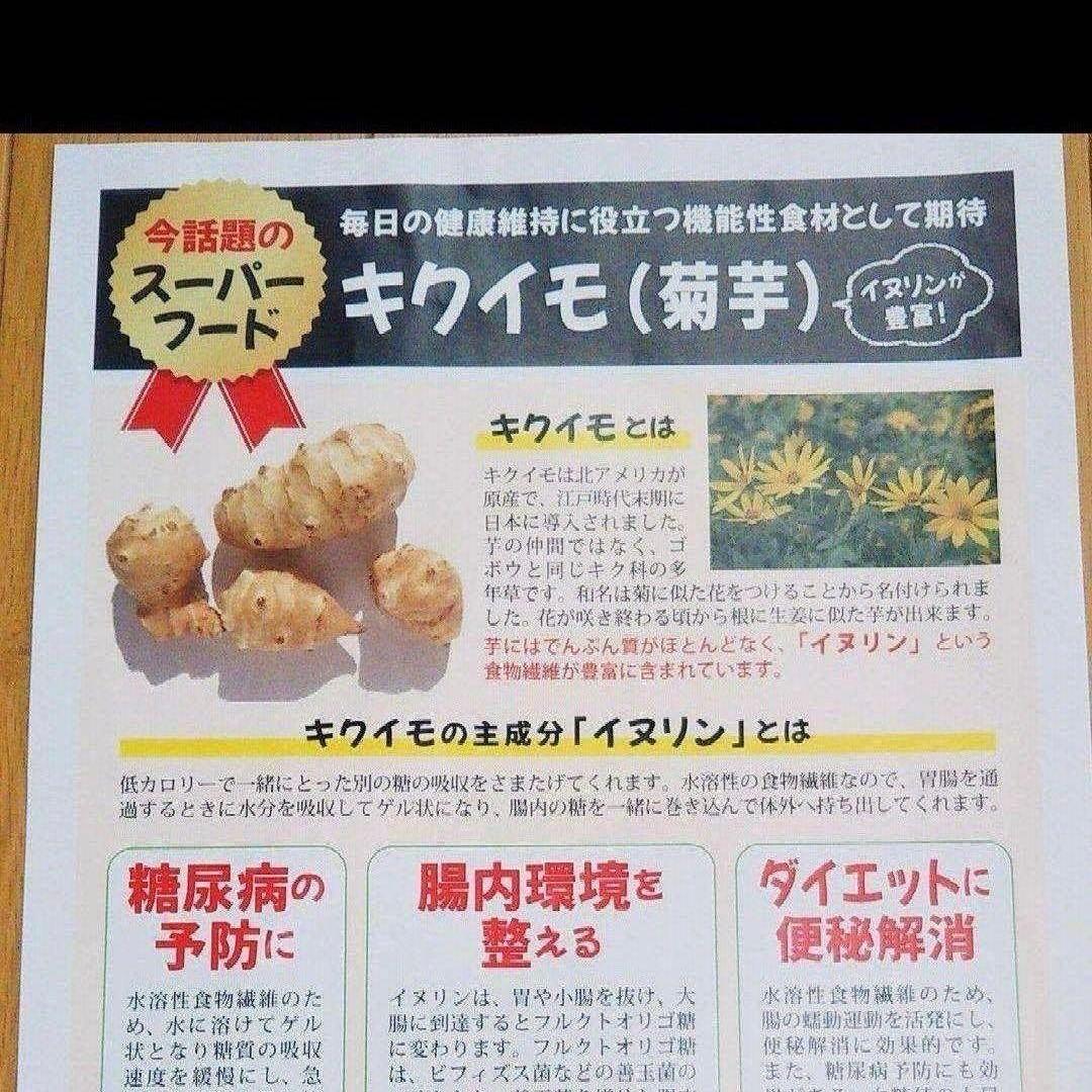 【発送休止中】熊本県阿蘇産　菊芋チップス　120g×10袋