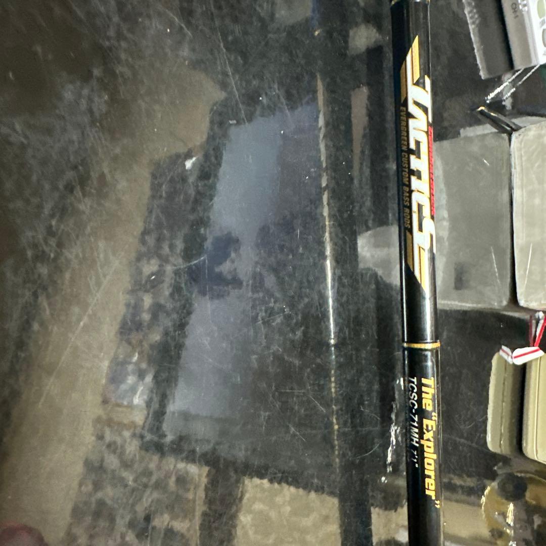 エバーグリーン