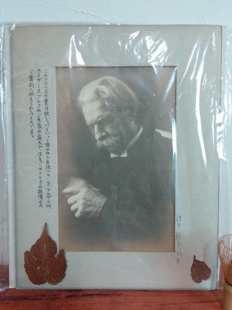 ノーベル賞 シュバイツァー博士 生誕地 カイザースブルク 生家 マロニエの葉