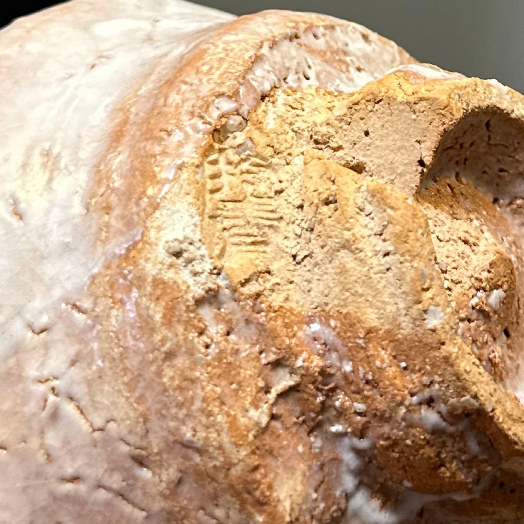 鬼萩，萩烧白登山窯，希代の天才陶芸家【宇田川抱青】二六焼，備前焼新品，九谷焼