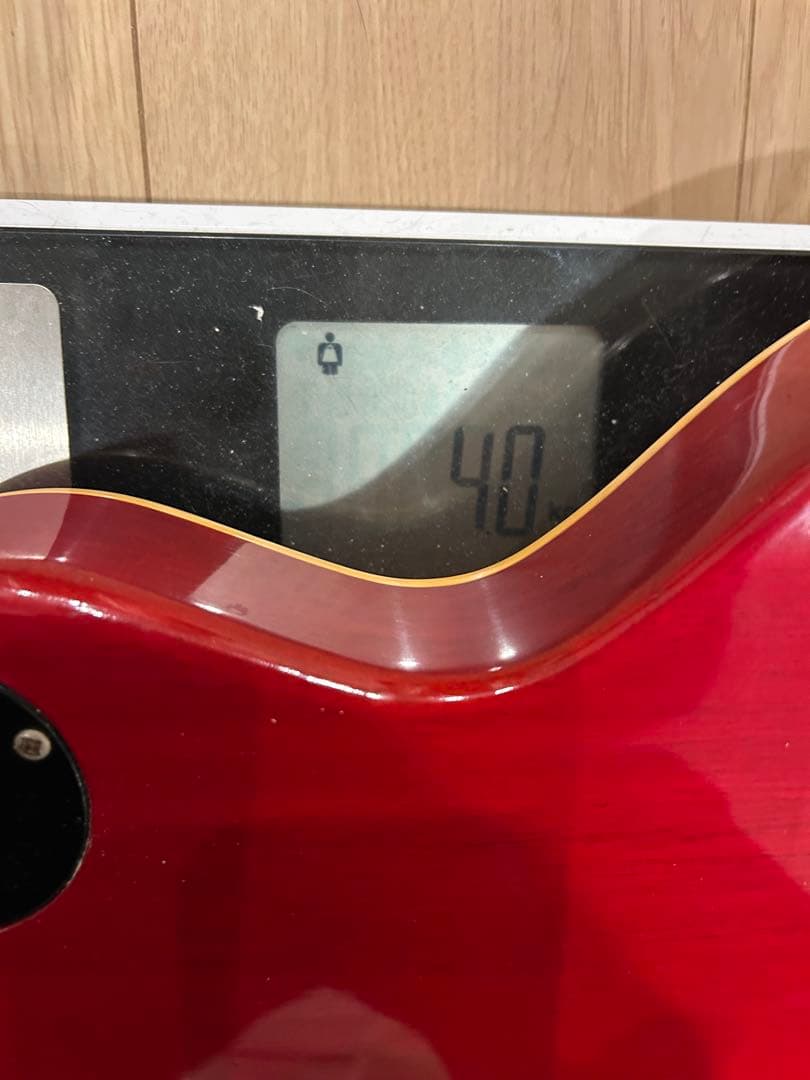 Tokai LS120 Reborn 1980年製