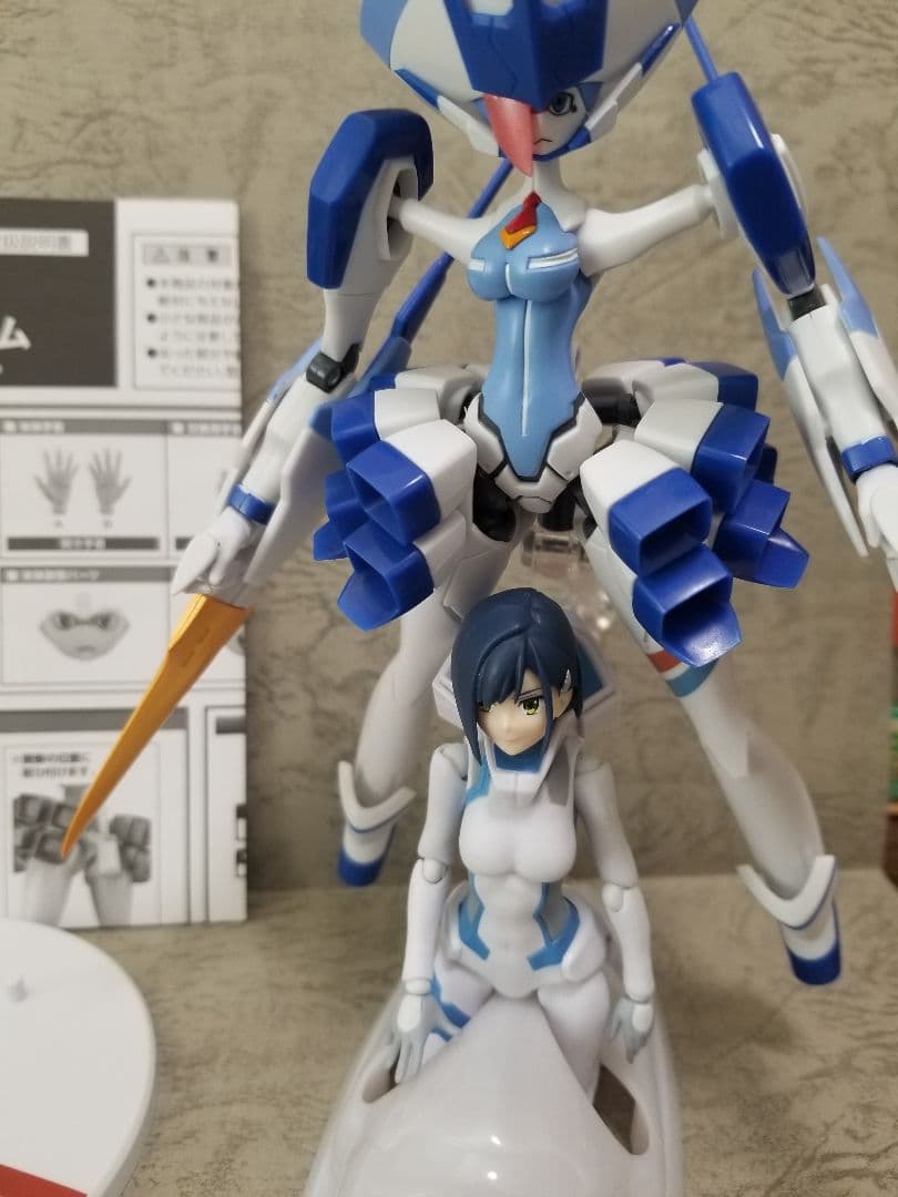 ダーリンインザフランキス　ストレリチア　ゼロツー　デルフィニウム　イチゴ