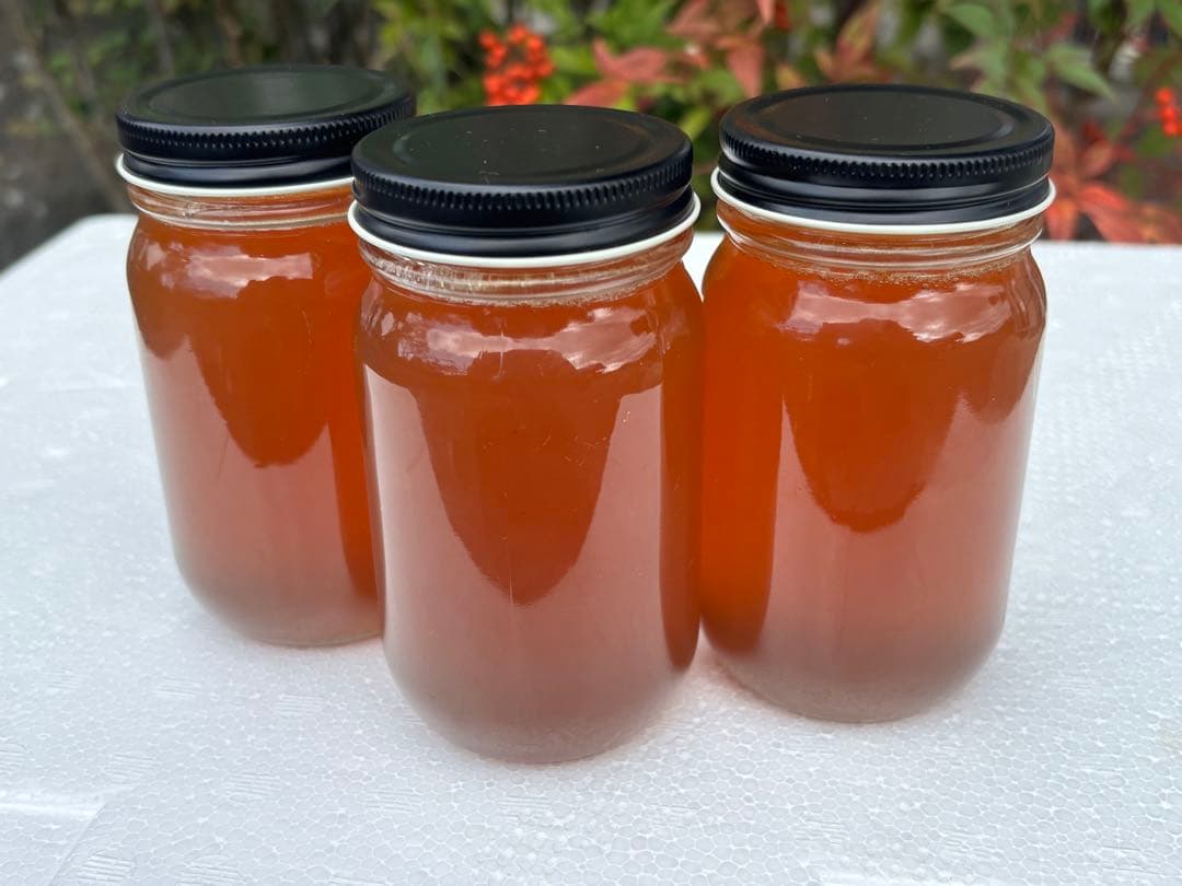 日本蜜蜂蜂蜜　純粋生ハチミツ　非加熱無調整　百花蜜