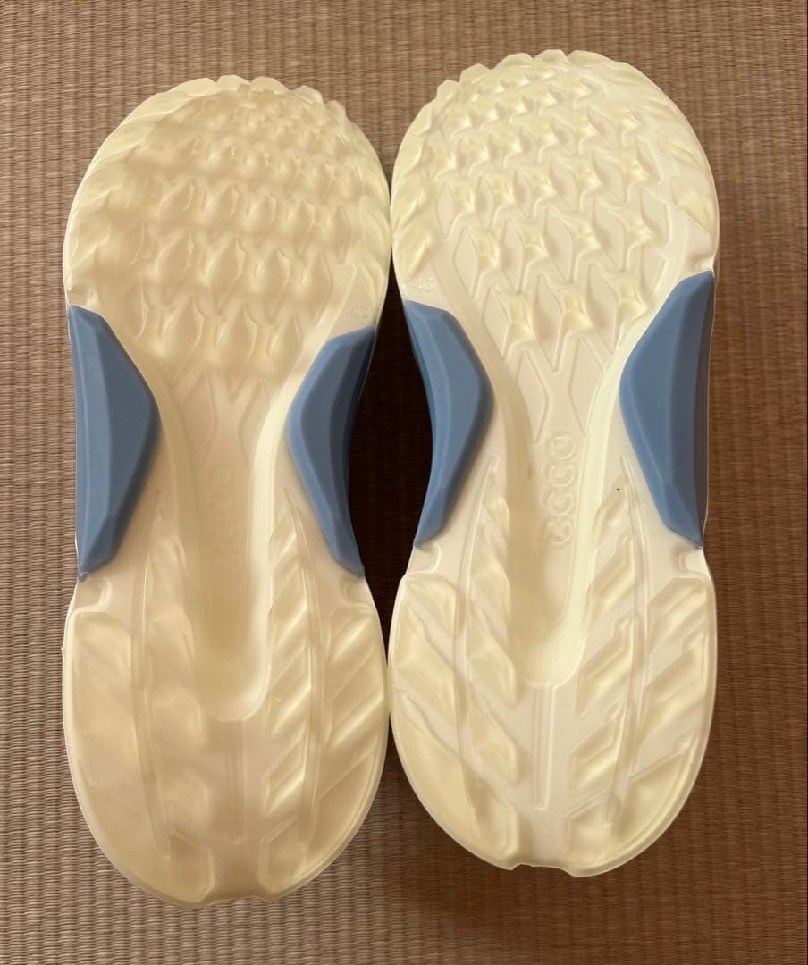 【未使用•試着のみ】ecco メンズ ゴルフシューズ BIOM H4 BOA