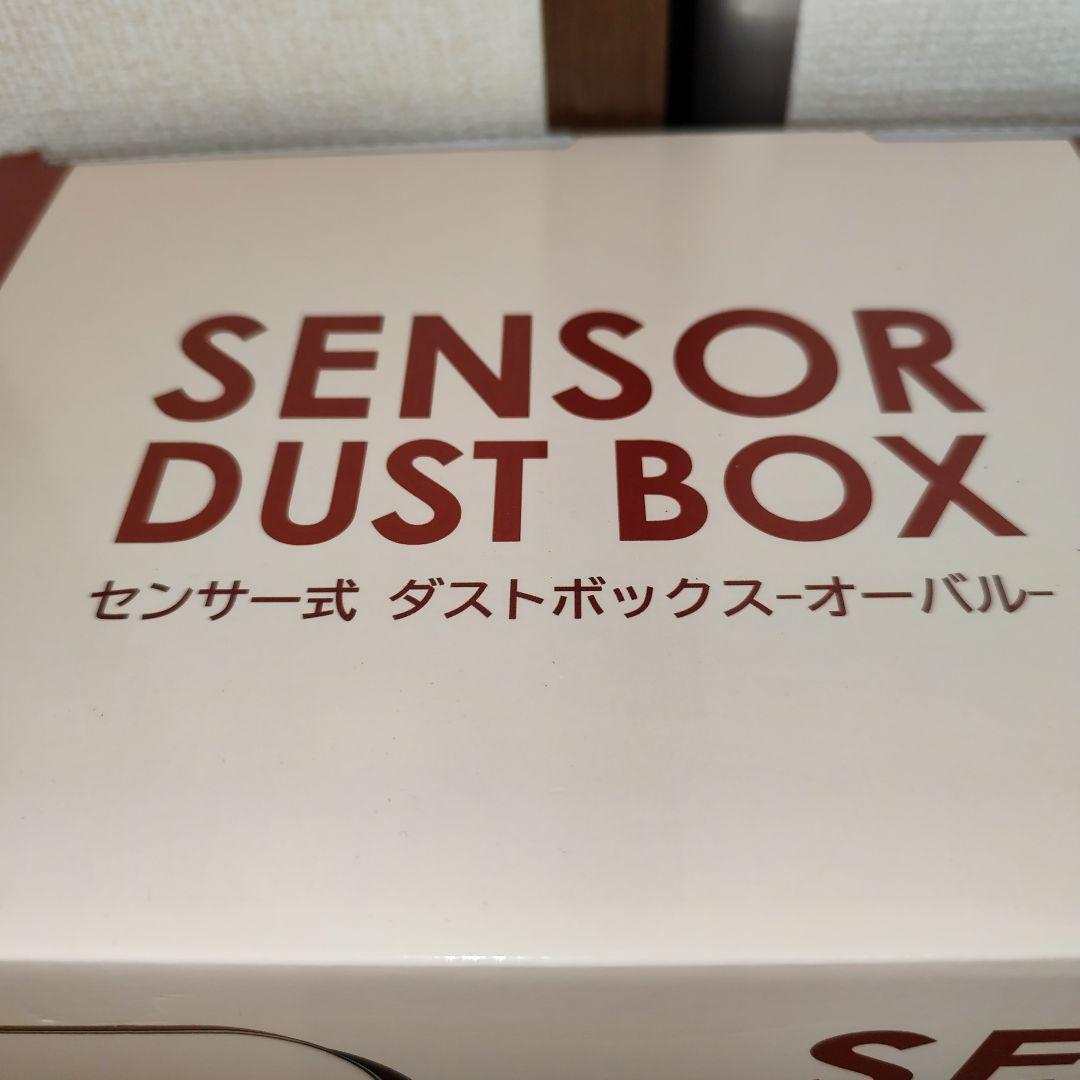 新春お年玉福箱【レジかごバッグ】