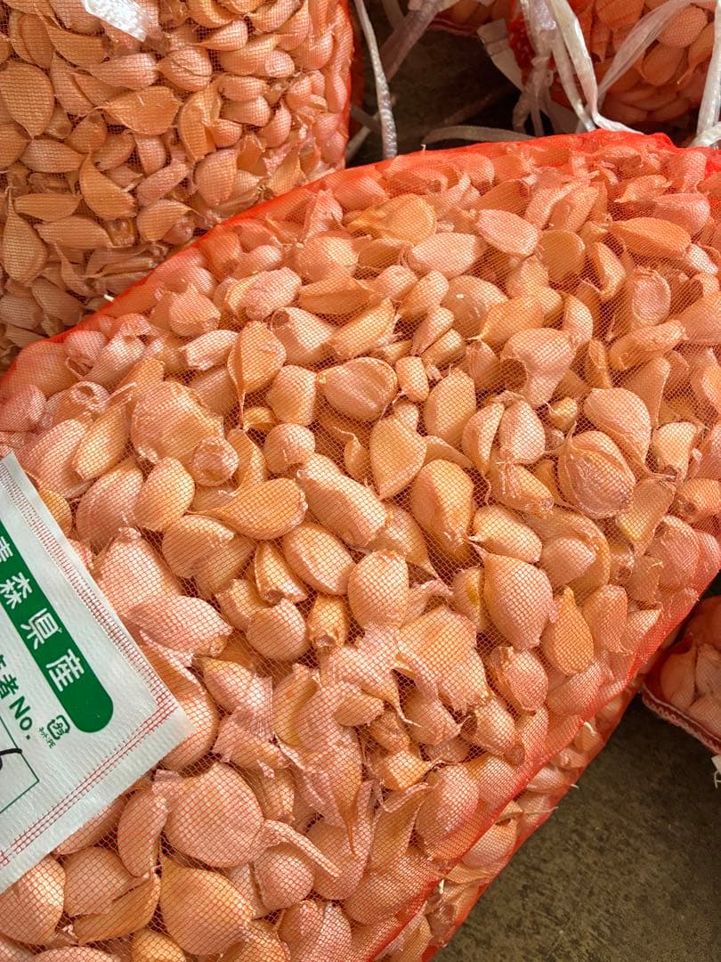 新物　青森県バラにんにく10Kg ms