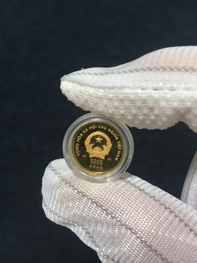 ベトナムドン　ベトナム 「巳年」5000ドン金貨　(セール中)