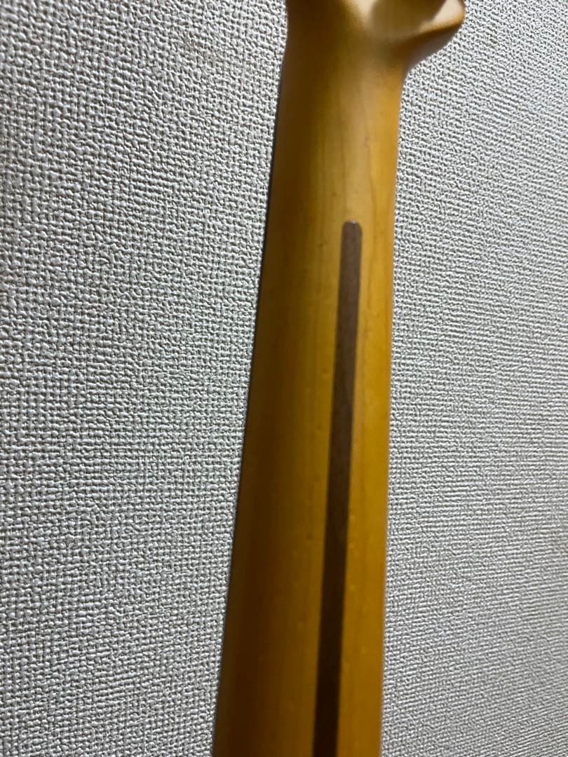 Y*i様 Fender American Professional ⅡTelec