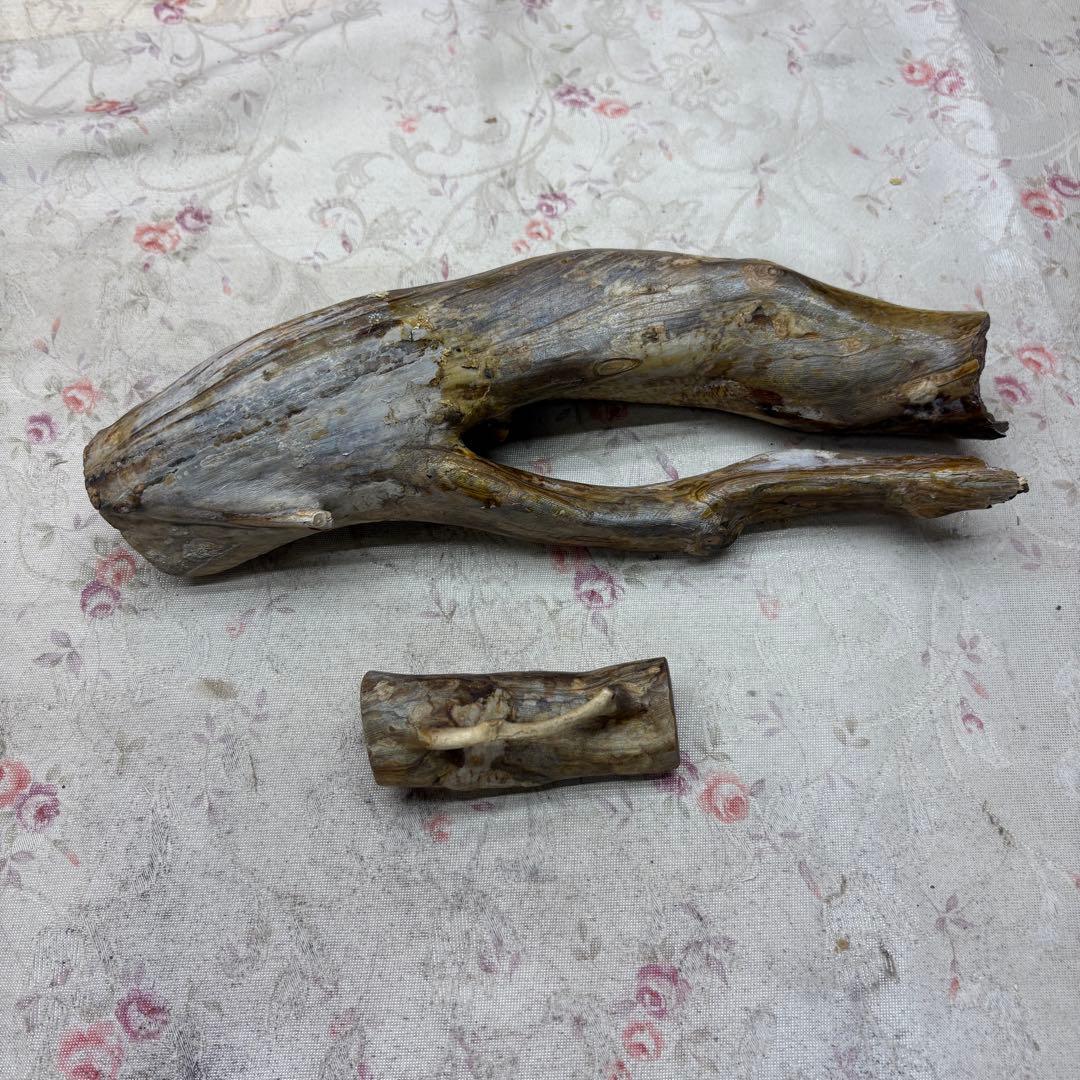 海松　深海松　レインボーコーラル　置物　素材　原木