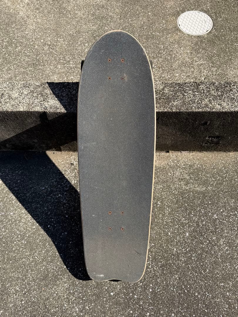 た*様 Carver Skateboard カーバー　テイラーノックス