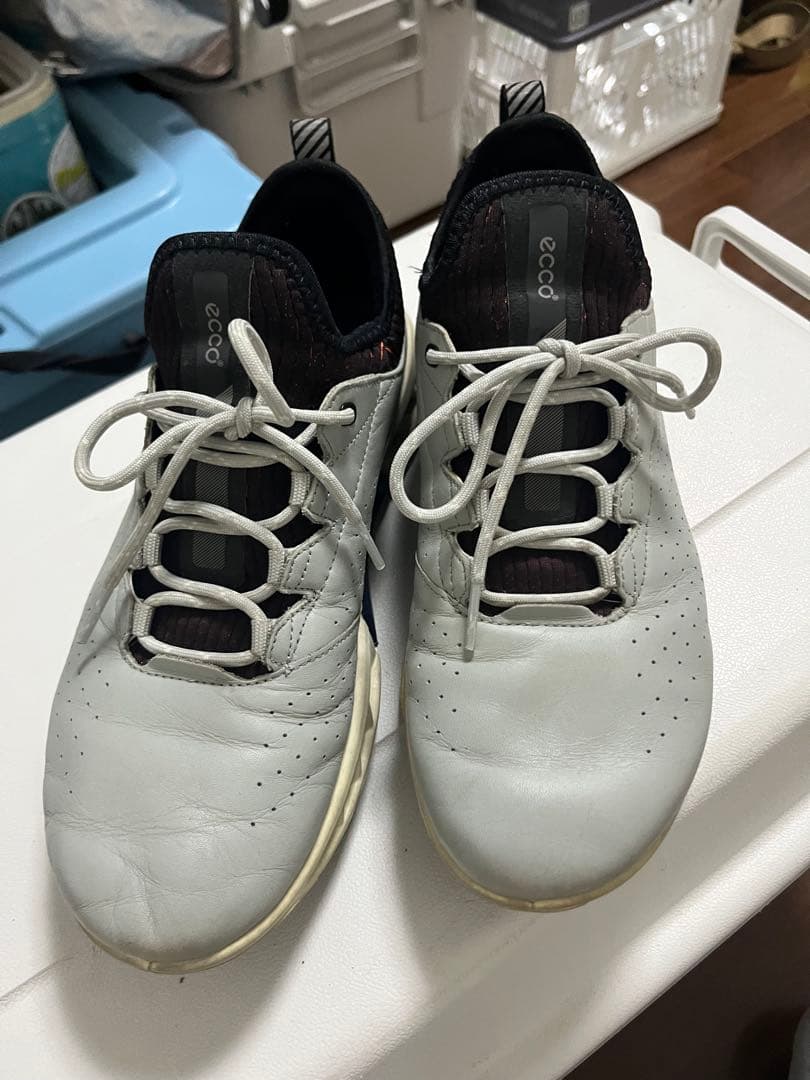 ECCO Golf Biom C4 Men エコーバイオムＣ４　39 25センチ