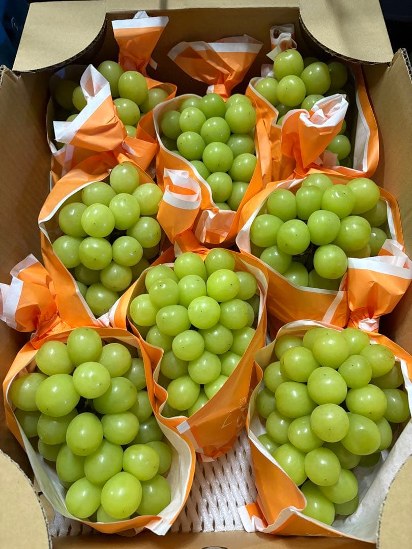 長野県産　シャインマスカット　8房セット　5kg 秀品！