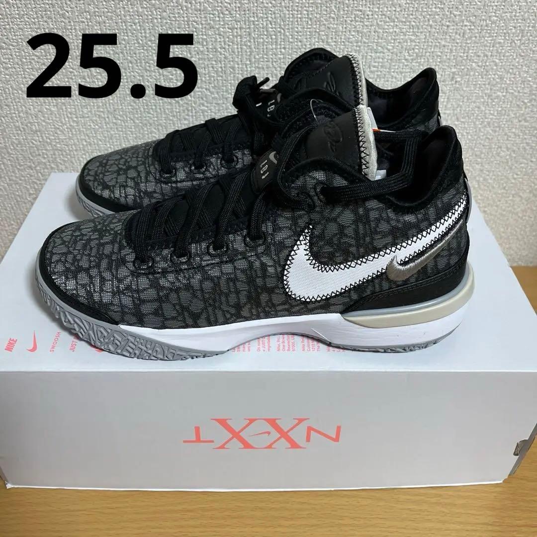 新品 ZOOM LEBRON NXXT GEN EP 黒 25.5cm