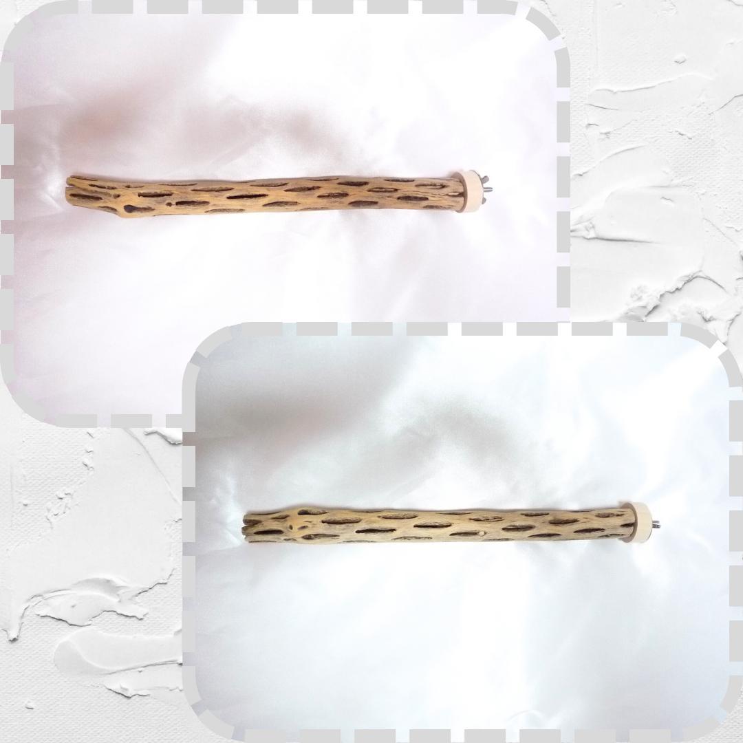 鳥用品　止まり木　カクタス　スケルトン　パーチ　太めNo.239