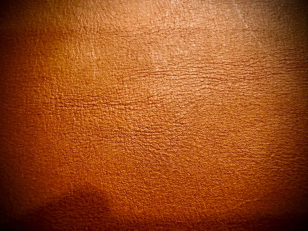 月末SALE！Pvt.Workshop 極 本革 デッキケース キャメル