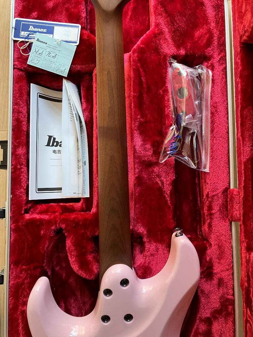 ギター Ibanez AZ2204NW PPK