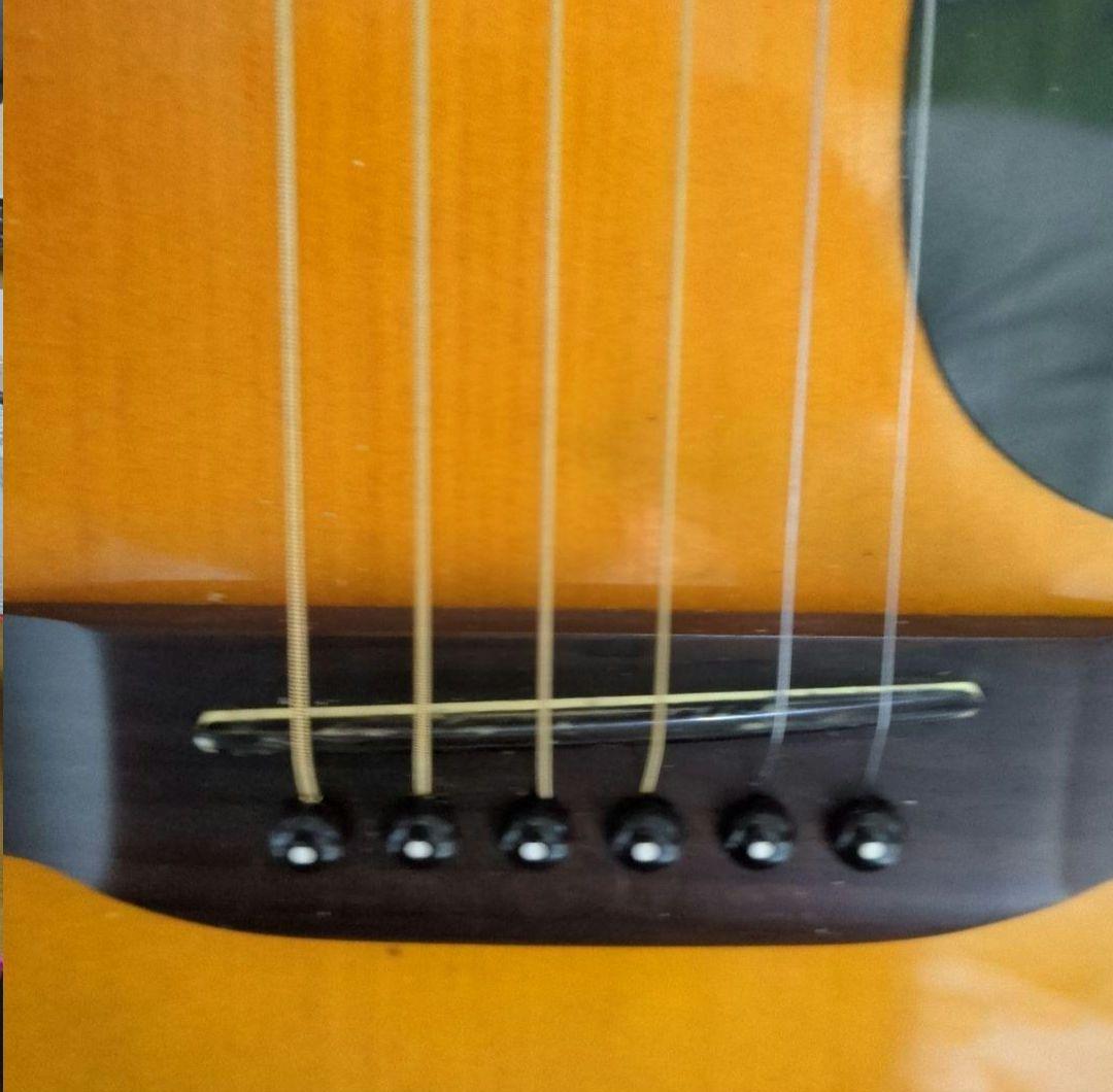 Stafford SF200D SBアコースティ ジャンク扱い