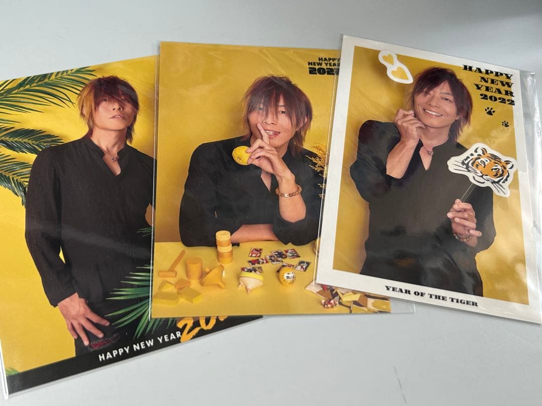 谷山紀章 年賀 2022 虎