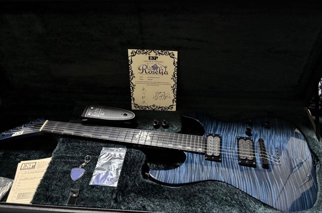 ギター Roselia ESP M-II SAYO II