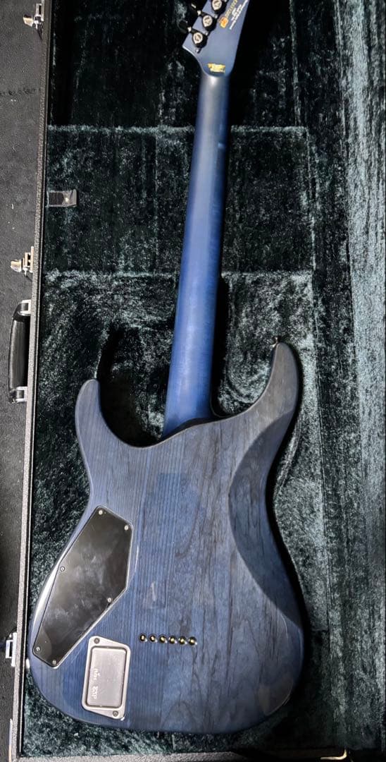 ギター Roselia ESP M-II SAYO II