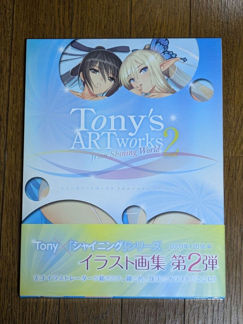 シャイニング・レゾナンス キリカ・トワ・アルマ 水着＆黒蓮水装フィギュア