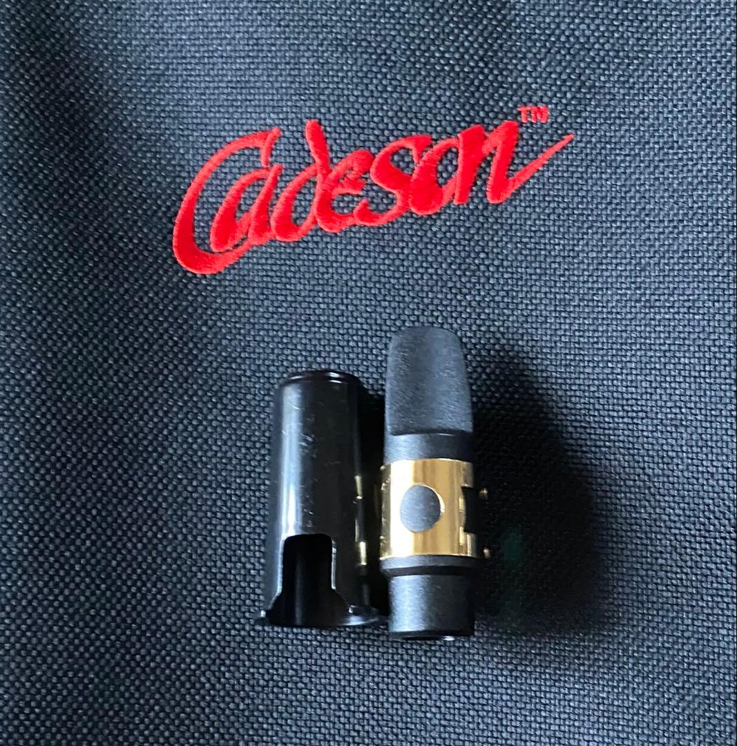 【じいいいい】豪華彫刻入り カドソン Cadeson ソプラノサックス