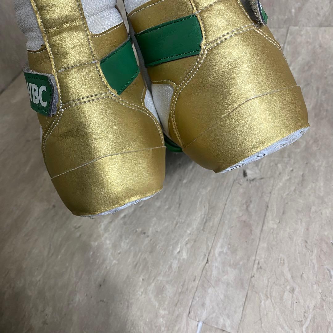 リミテッドカラー Adams アダムス Vプロ WBCモデル US13 31cm