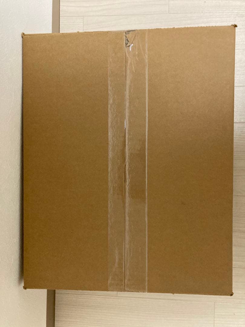 pokemon GO Radiant Eeveeプレミアムコレクション1カートン