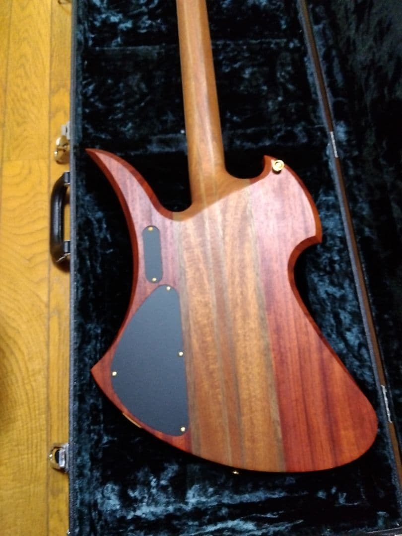 ビーシリッチ　モッキンバード