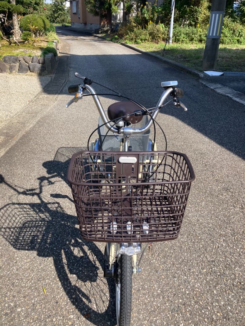 PELTECH ペルテック電動アシスト付き三輪車 TDR-163L