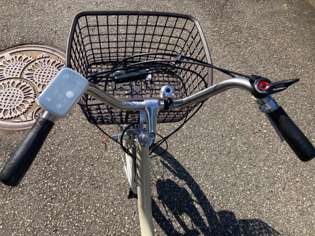 PELTECH ペルテック電動アシスト付き三輪車 TDR-163L