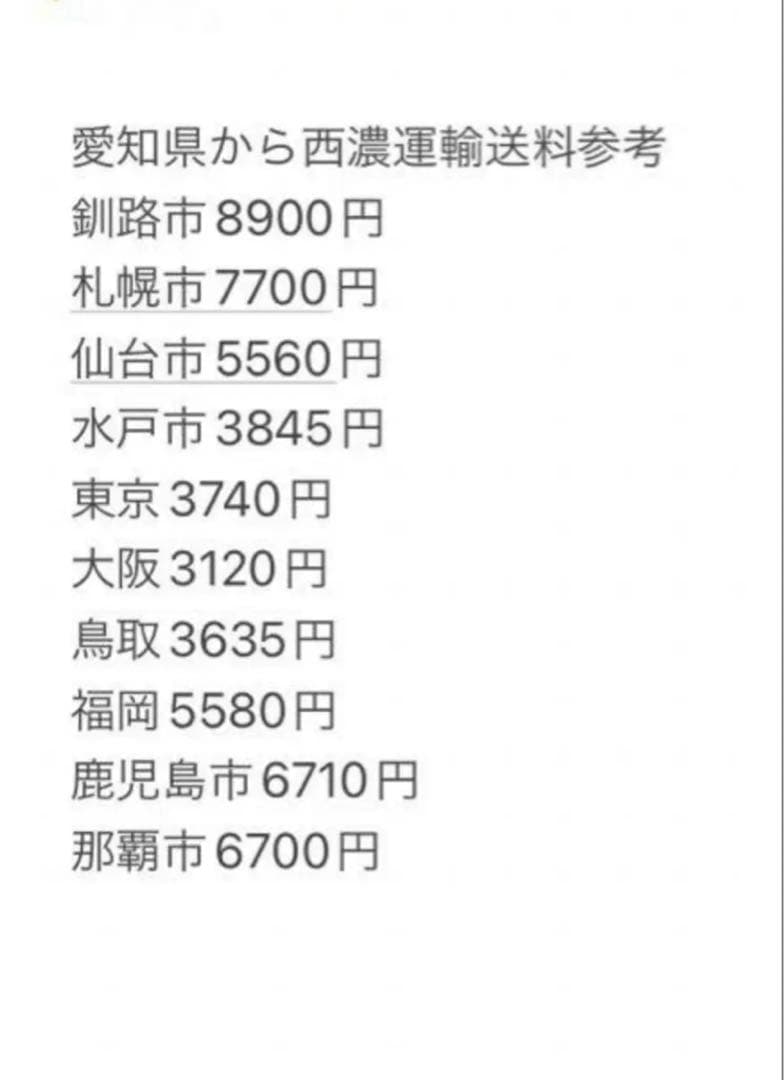 く*か様 小波　フロー最高　ショートボード　SYSTM Snub Mongrel