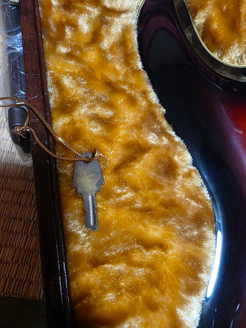 ARIA THE VENTJRES 40周年モデル エレキギター VM2001