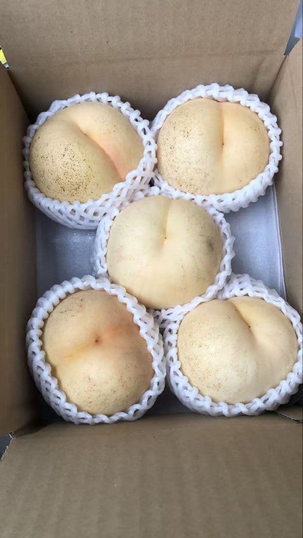 825福島產希少品種シーエクス硬桃箱込み10kg訳あり家庭用玉数お任せクール便