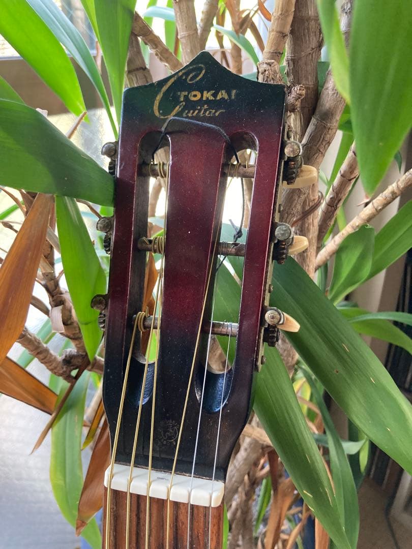 TOKAI ART NO.540 鉄線ギター ジャパンビンテージ mid60s