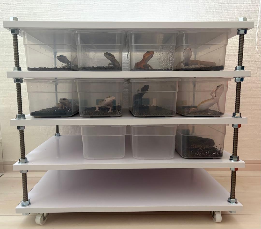 レオパ、ニシアフ用 自作飼育ラック（5段）キャスター付き