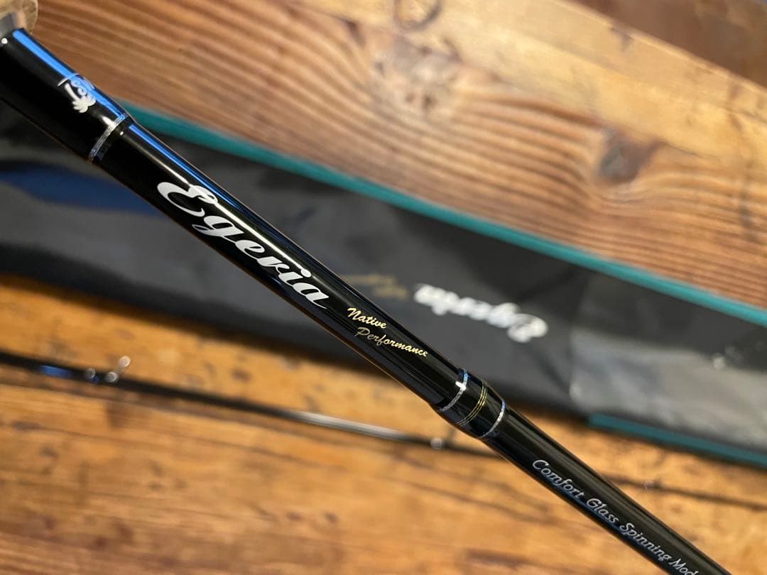 パームス　エゲリアネイティブ　ETVS-54XUL