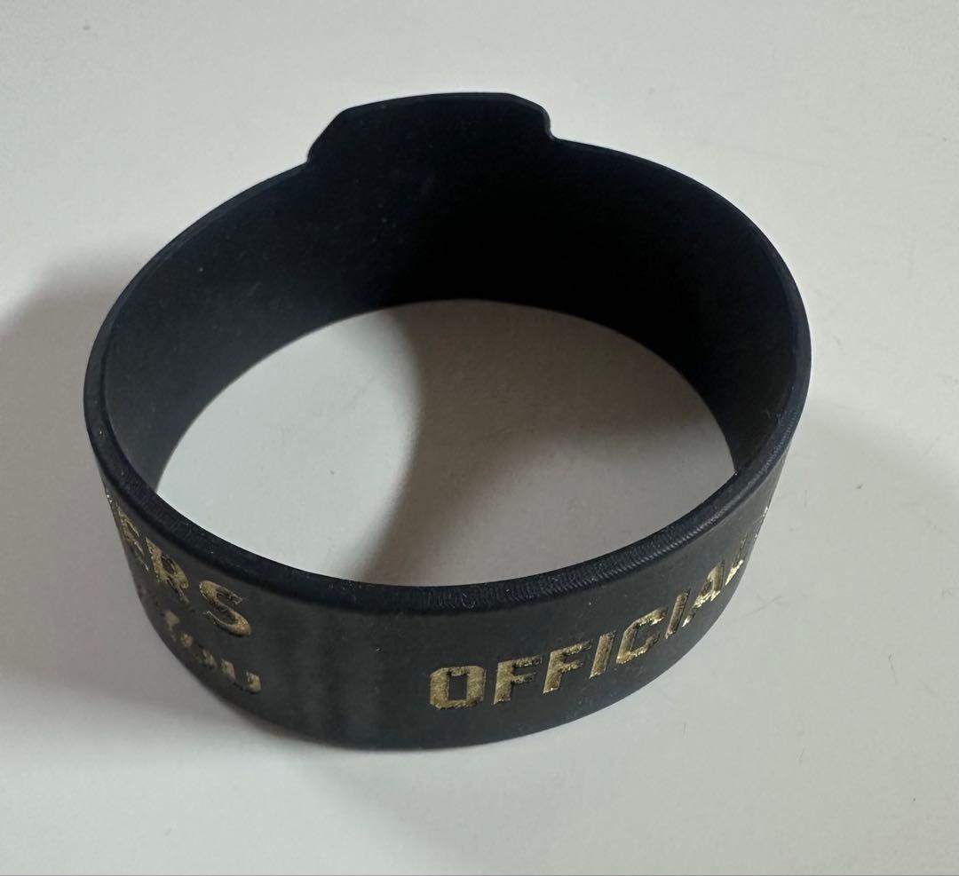 Official髭男dism 10周年 ラバーバンド