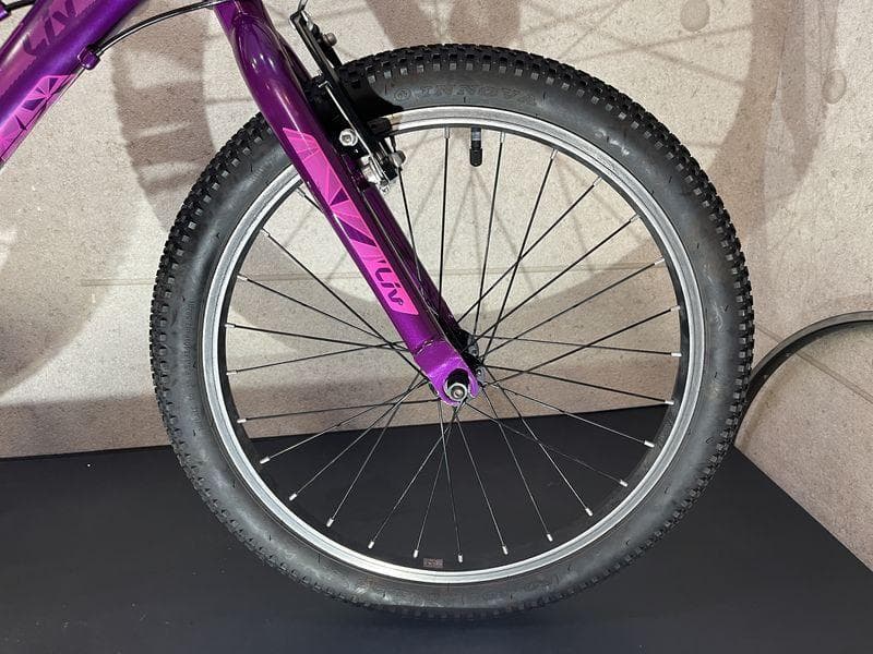 giant LIVパープル 20インチ キッズバイク 6速 Shimano