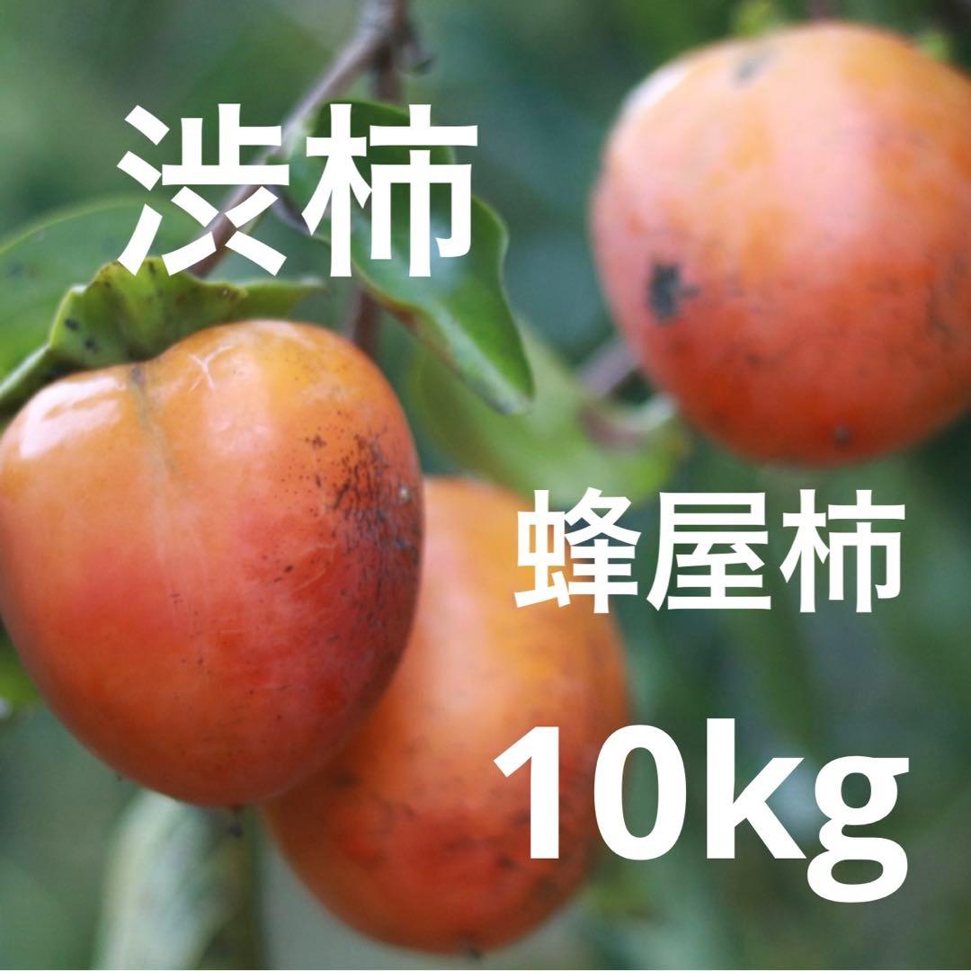渋柿　10kg