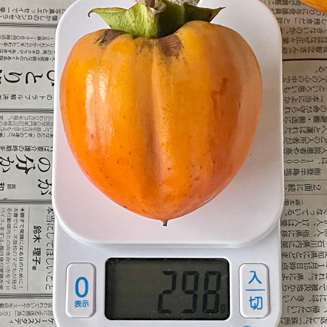 渋柿　10kg