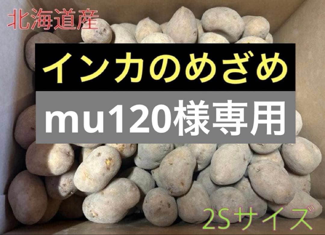【mu120】北海道産じゃがいも（インカのめざめ）　2Sサイズ20kg