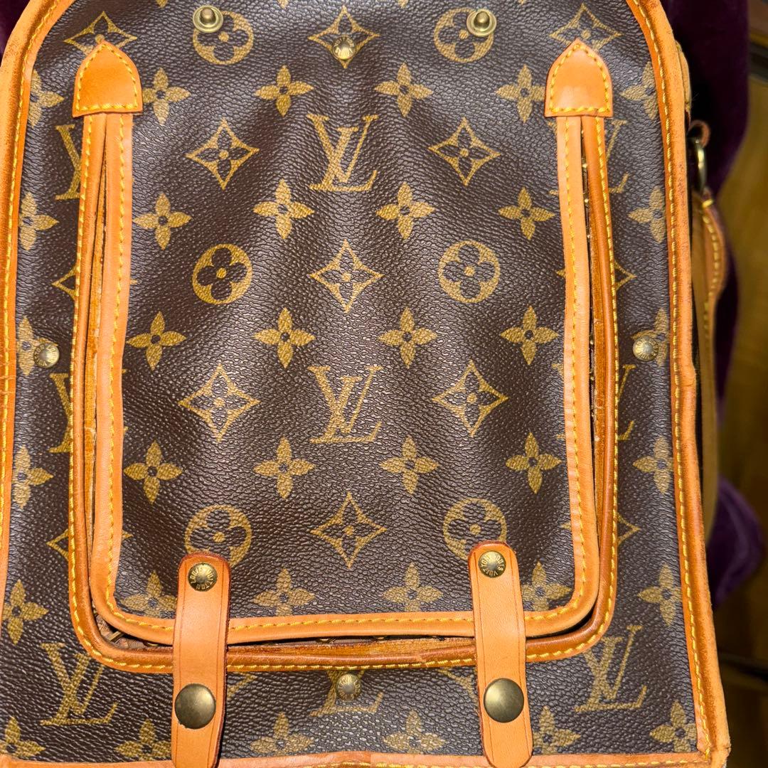 LOUIS VUITTON モノグラムキャリーバッグ