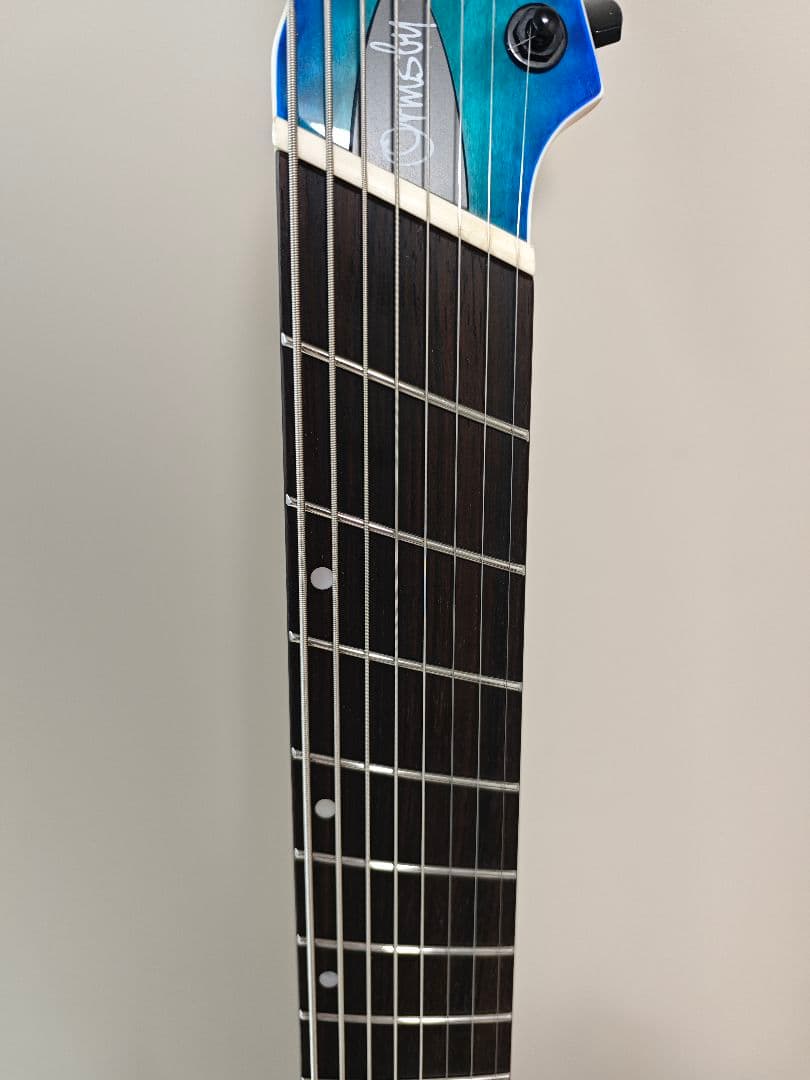 【価格応談】Ormsby hype GTR 8【8弦ギター】